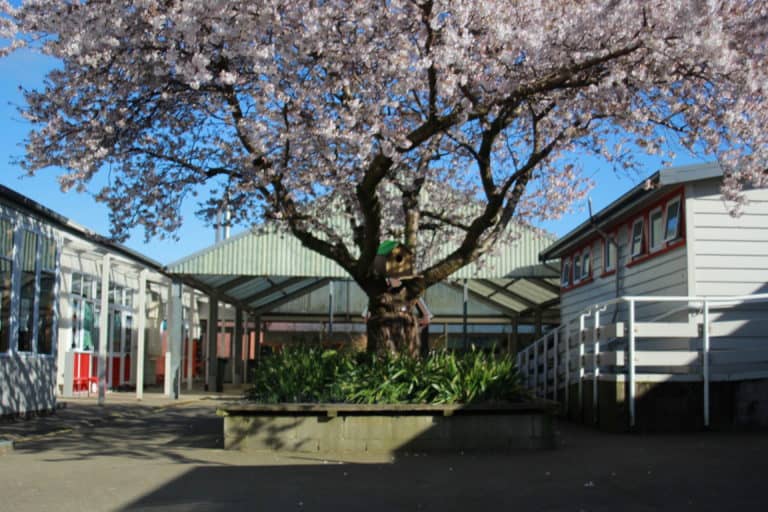 Makarewa School — Makarewa School in New Zealand