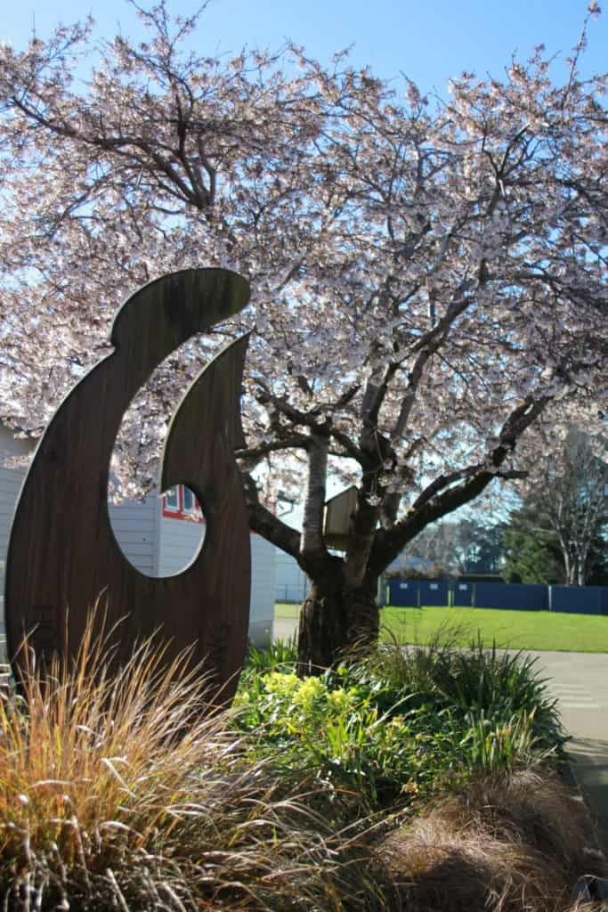 Makarewa School Anchor Symbol — Makarewa School in New Zealand